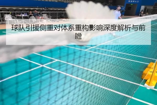 球队引援侧重对体系重构影响深度解析与前瞻